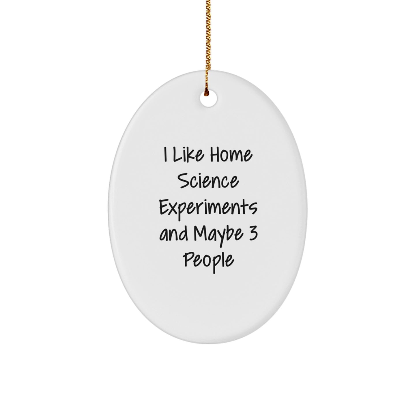Home Science Experiments Gifts for Happy Kids, Funny Oval Ornament, Cute White Christmas Decor, Gifts from Friends - Image 1
