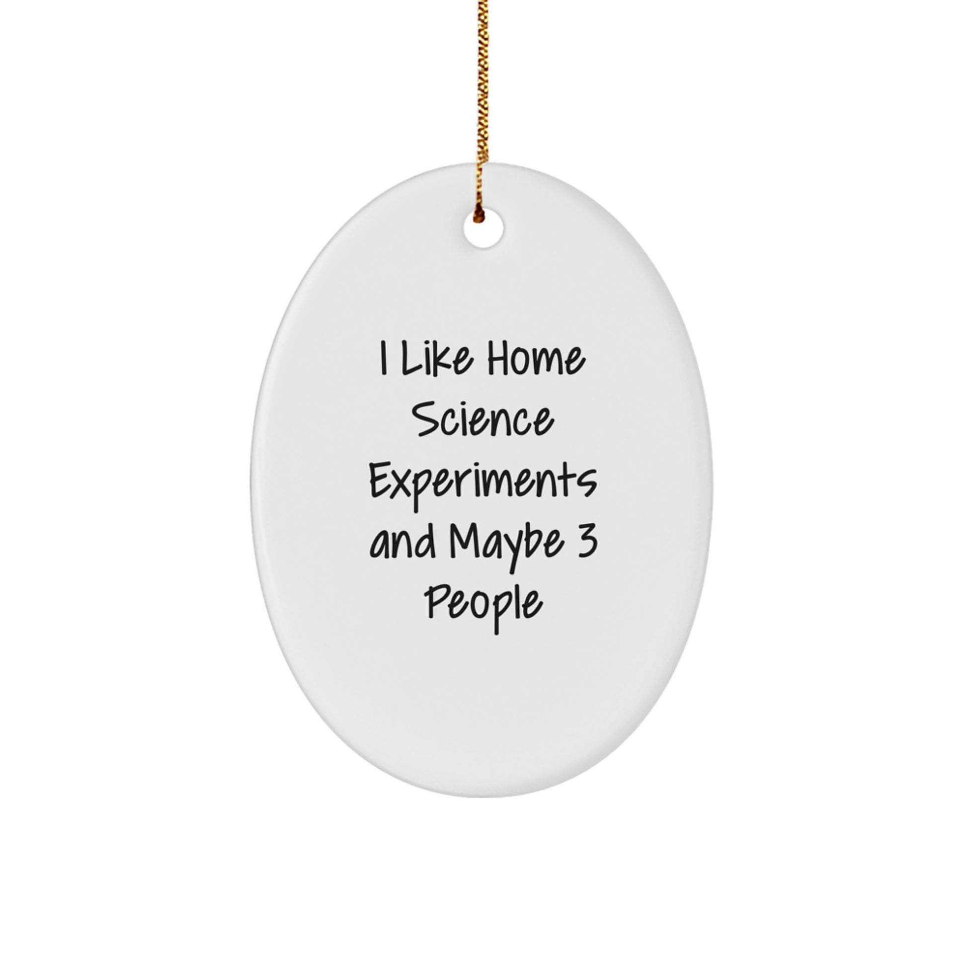 Home Science Experiments Gifts for Happy Kids, Funny Oval Ornament, Cute White Christmas Decor, Gifts from Friends - Image 1