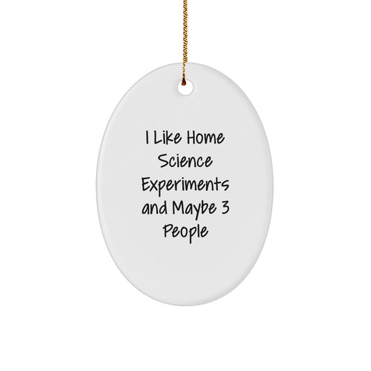 Home Science Experiments Gifts for Happy Kids, Funny Oval Ornament, Cute White Christmas Decor, Gifts from Friends - Image 1