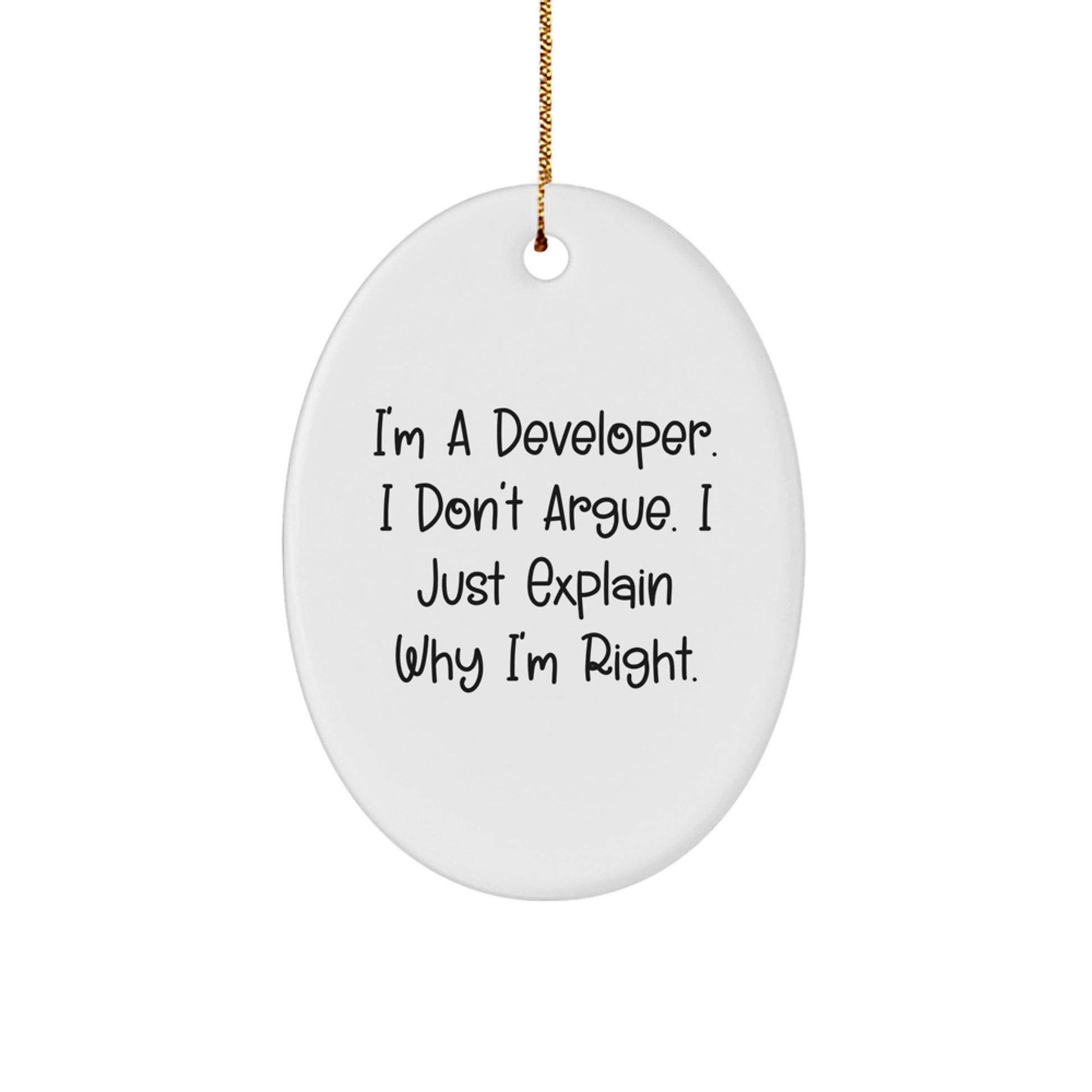 Funny Developer Gift, Oval Ornament for Friends, Coworkers, Family - Gifts from Men, Women, Family to Developers, Men, Women, Friends, Coworkers at Christmas - Image 1