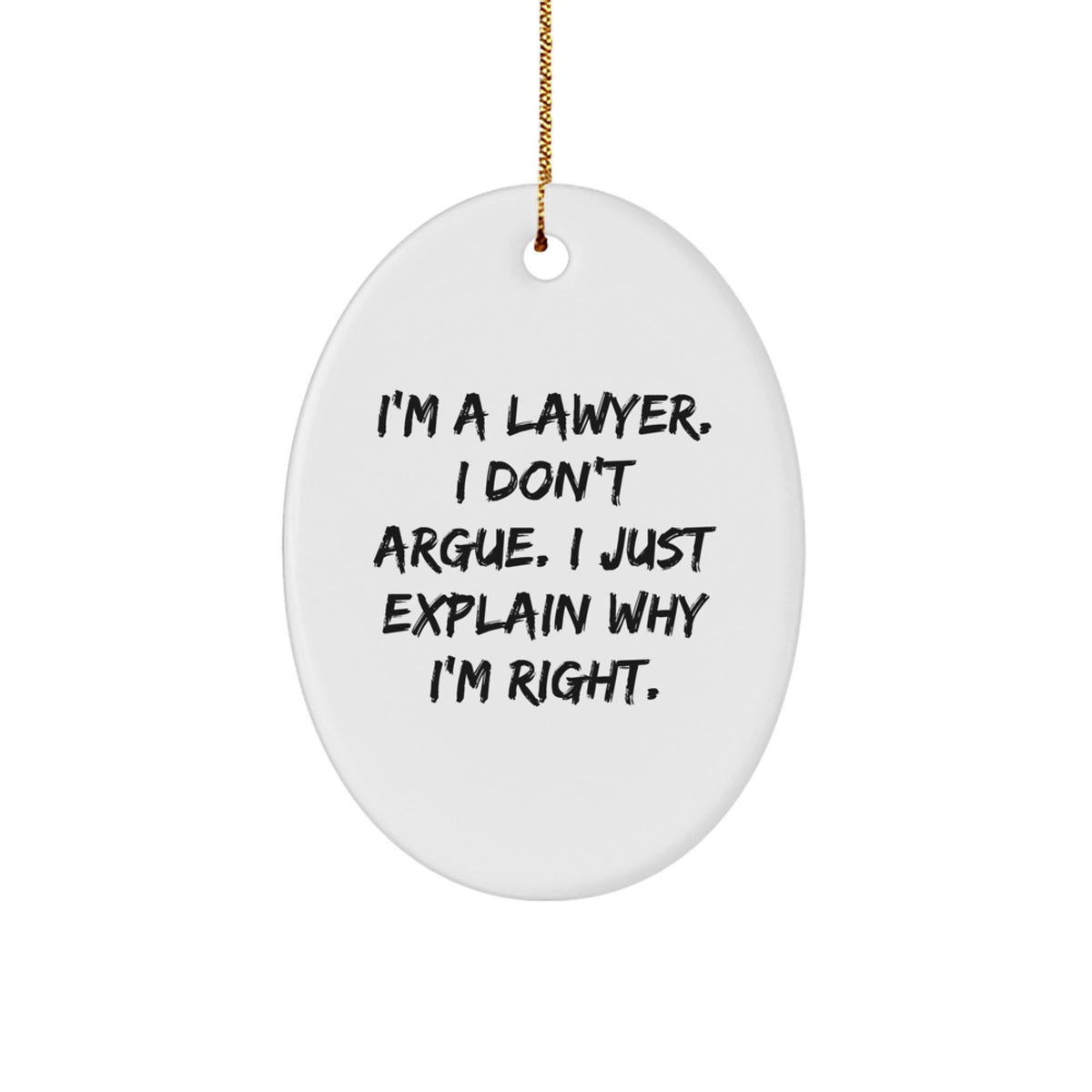 Witty Lawyer Oval Ornament Gift for Roommates Memento Christmas - Image 1