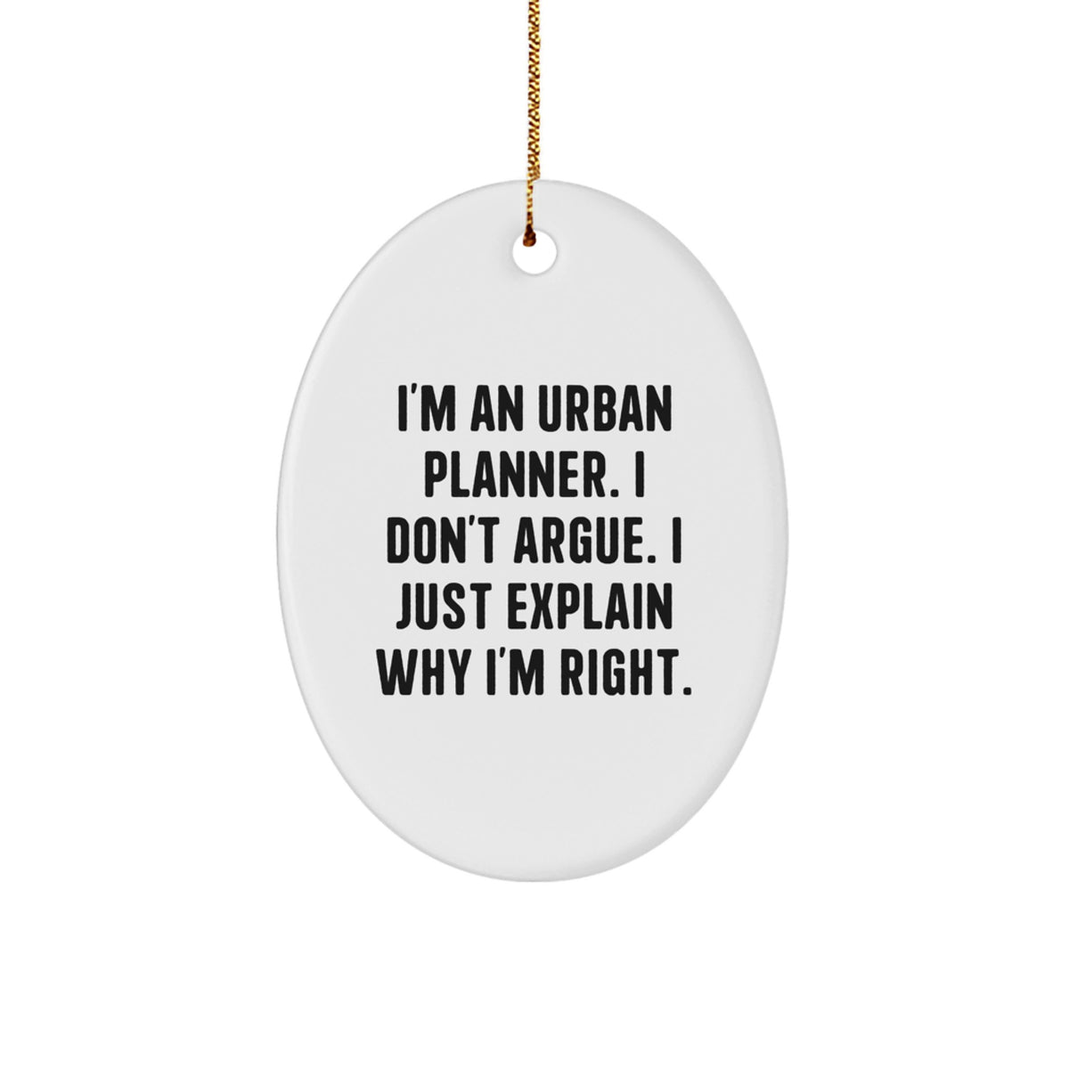 Urban Planner Oval Ornament Gift for Coworkers – Explain Why I'm Right - Image 1