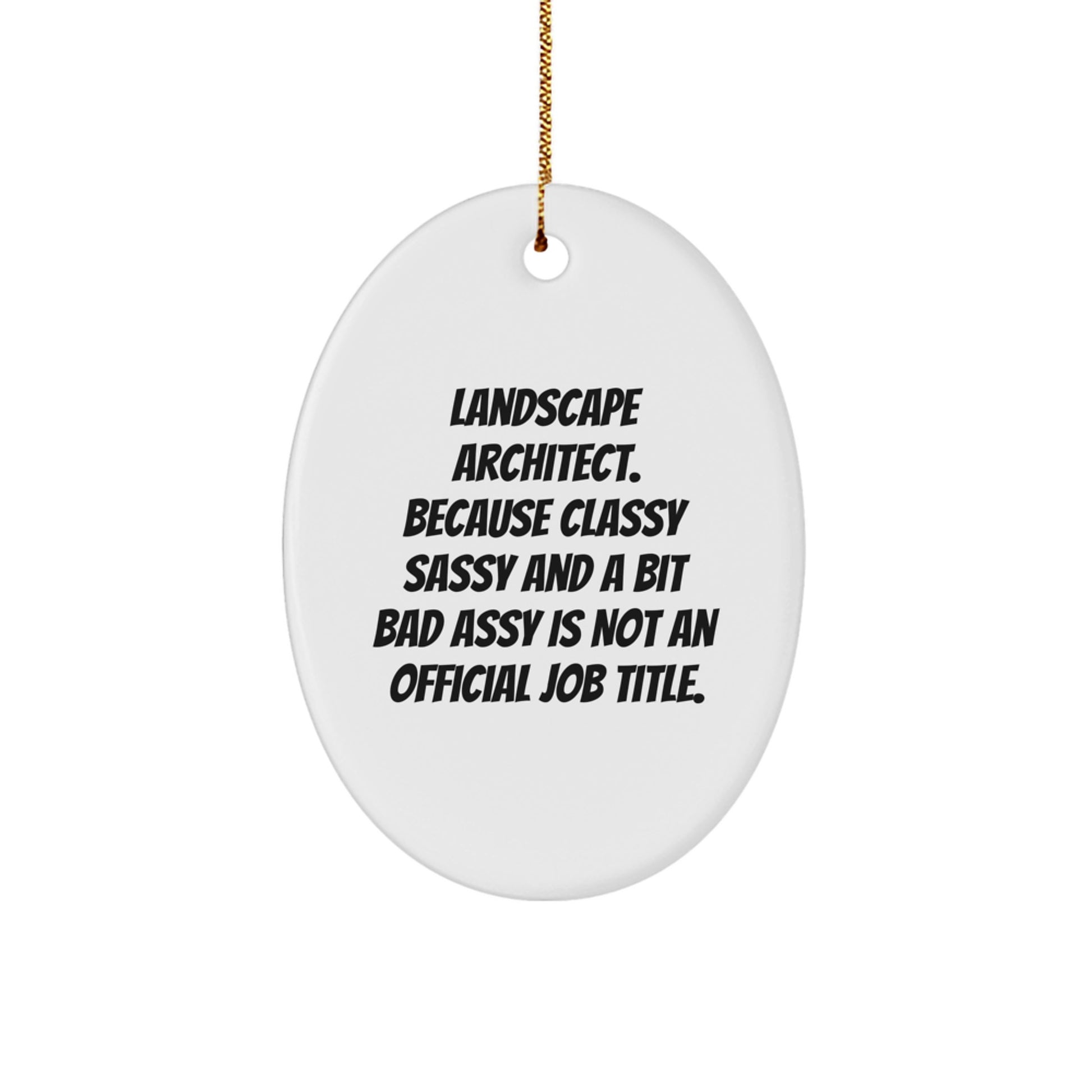 Funny Landscape Architect Gifts for Men or Women, Christmas Unique Decor Oval Ornament, Classy Sassy Quote from a Landscape Architect - Image 1