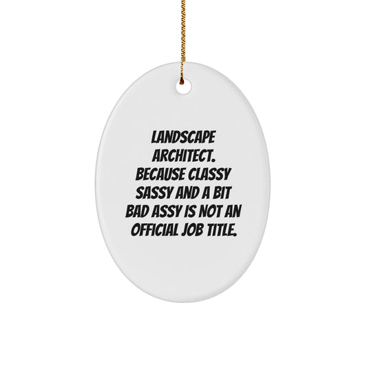 Funny Landscape Architect Gifts for Men or Women, Christmas Unique Decor Oval Ornament, Classy Sassy Quote from a Landscape Architect - Image 1