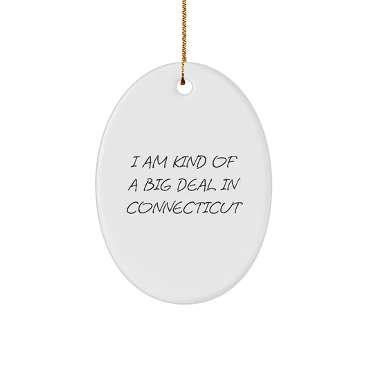 Funny Connecticut Oval Ornament Gifts from Friends for Men, Women, Coworkers, Family - I Am Kind Of A Prime Selection - Image 1
