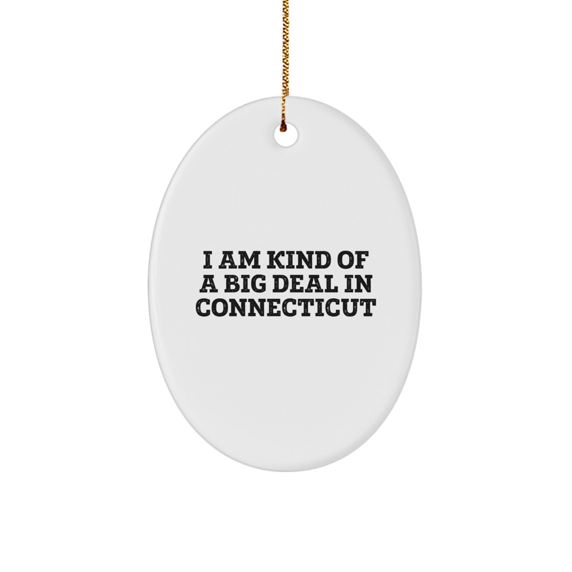 Funny Connecticut Oval Ornament - Gifts from Friends to Family in CT, Oval Decorations, Christmas Unique Gifts - Image 1