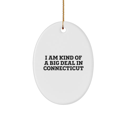 Funny Connecticut Oval Ornament - Gifts from Friends to Family in CT, Oval Decorations, Christmas Unique Gifts - Image 1