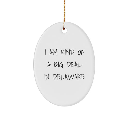 Delaware Oval Ornament I Am Kind Of A Prime Selection Funny Quote Gifts from Men to Friends for Delaware - Image 1