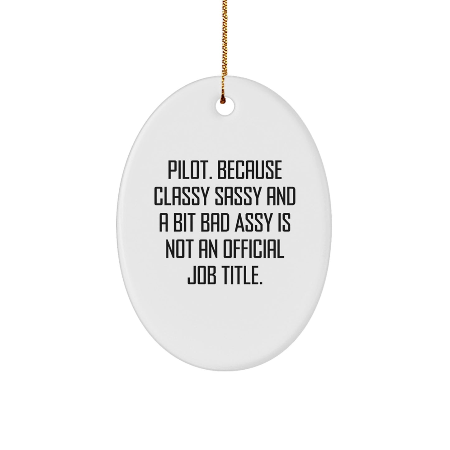 Pilot Humorous Oval Ornament Idea for Coworkers Christmas Gift - Image 1