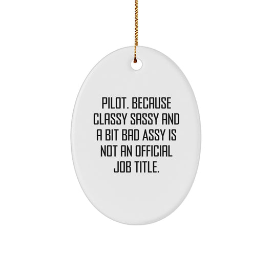 Pilot Humorous Oval Ornament Idea for Coworkers Christmas Gift - Image 1