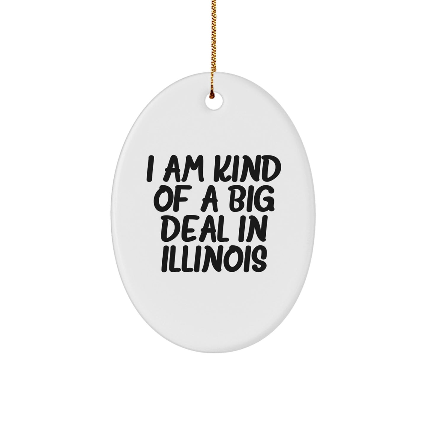 Funny Illinois Oval Ornament Gifts from Friends for Men Women - Image 1