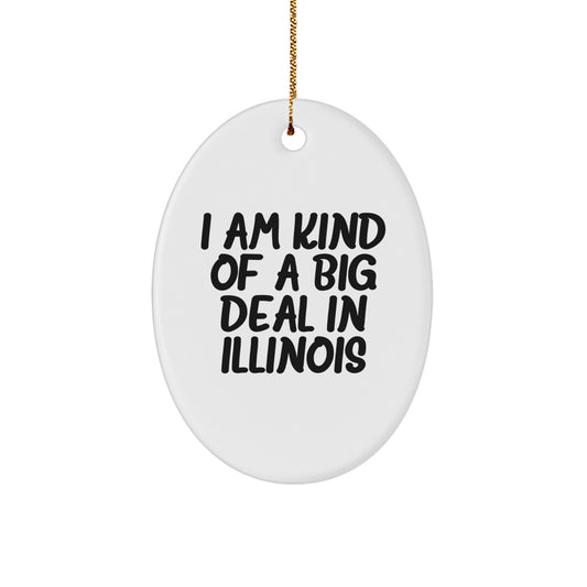 Funny Illinois Oval Ornament Gifts from Friends for Men Women - Image 1