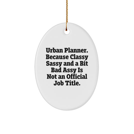 Unique Funny Urban Planner Oval Ornament Gifts from Friends and Family for Christmas - Image 1