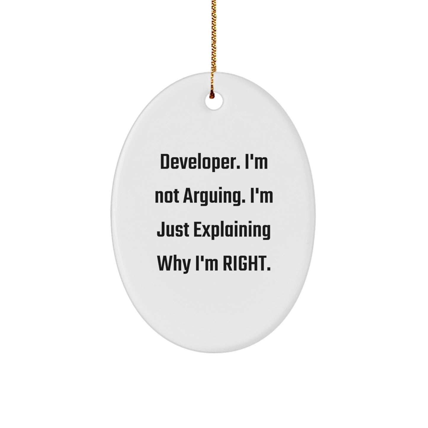 Funny Developer Gifts from Men, Oval Ornament Quotes for Christmas Unique Gifts for Developer - Image 1