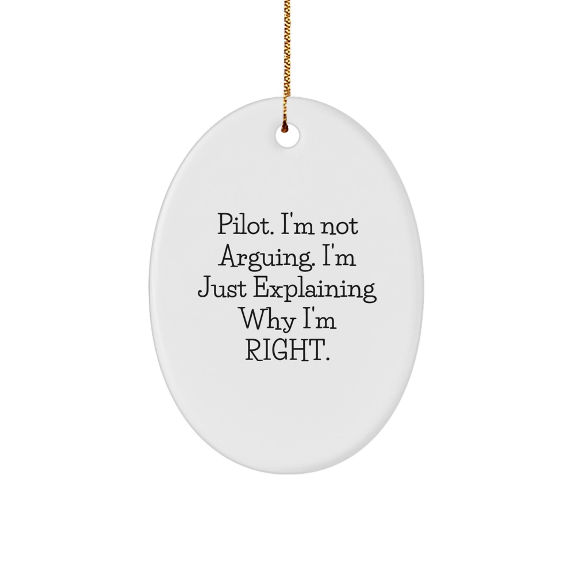 Pilot Christmas Ornament Idea for Coworkers Gift - Image 1