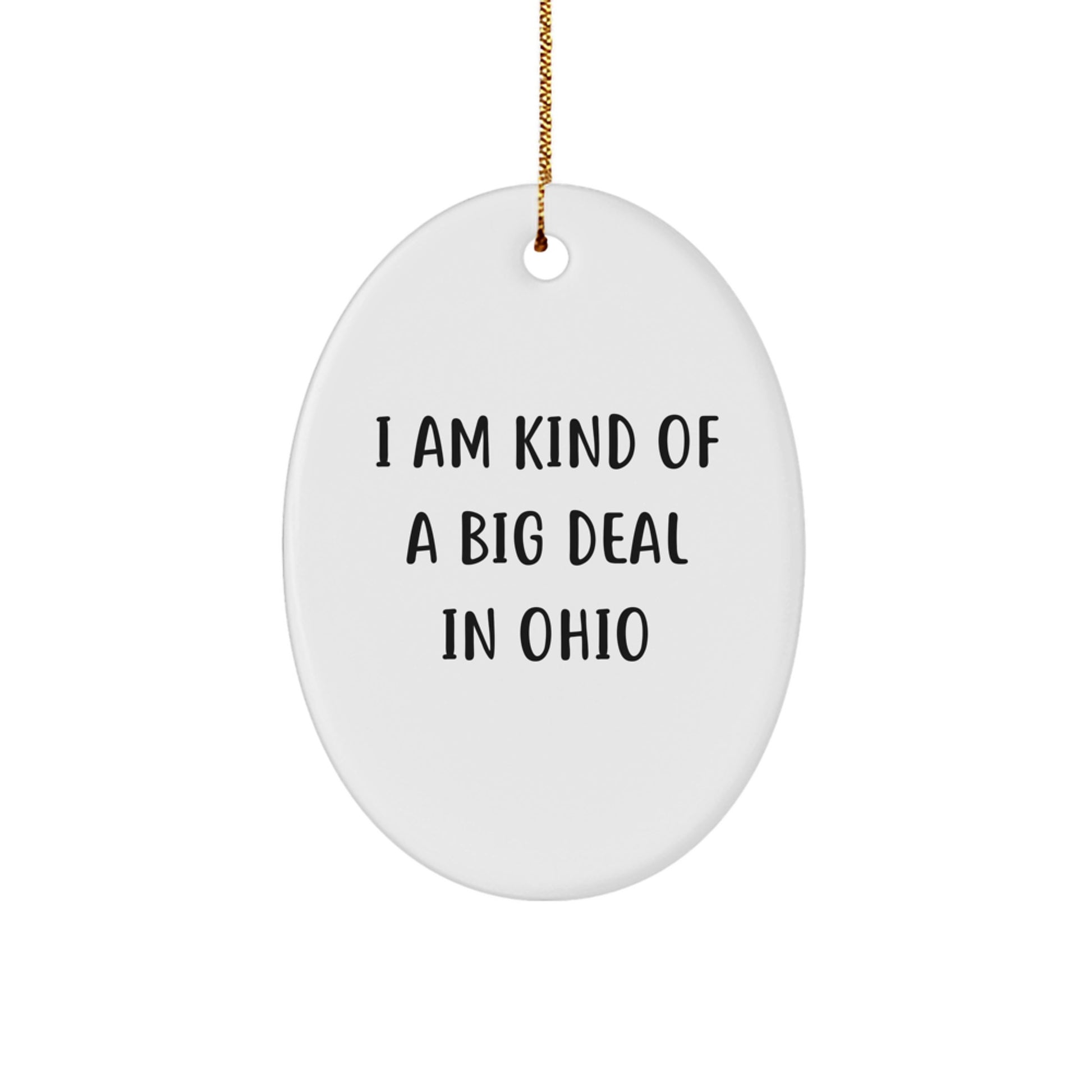 Funny Ohio Oval Ornament Gifts from Loved Ones, Perfect for Ohio Lovers and Christmas Decorations - I 'm Kind Of A Prime Selection In Ohio - Image 1