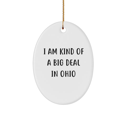 Funny Ohio Oval Ornament Gifts from Loved Ones, Perfect for Ohio Lovers and Christmas Decorations - I 'm Kind Of A Prime Selection In Ohio - Image 1