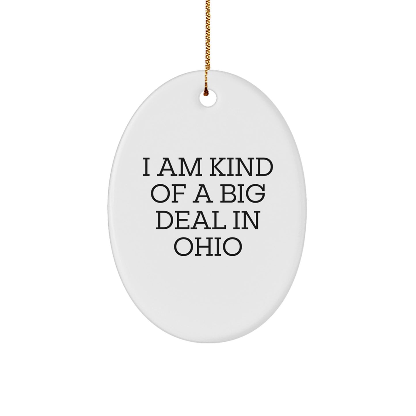 Ohio Oval Ornament Funny Quote I Am Kind Of A Prime Selection In Ohio Gifts for Ohio Men or Women - Image 1