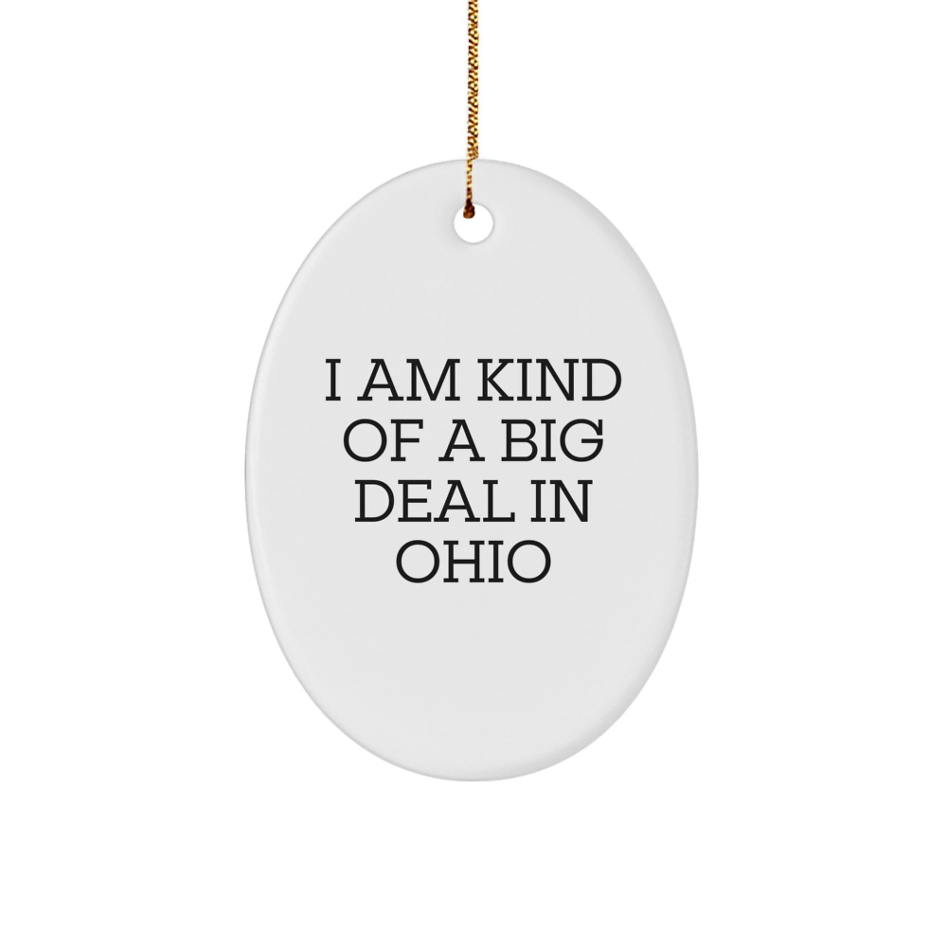 Ohio Oval Ornament Funny Quote I Am Kind Of A Prime Selection In Ohio Gifts for Ohio Men or Women - Image 1