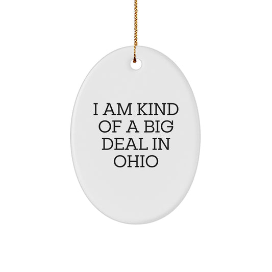 Ohio Oval Ornament Funny Quote I Am Kind Of A Prime Selection In Ohio Gifts for Ohio Men or Women - Image 1