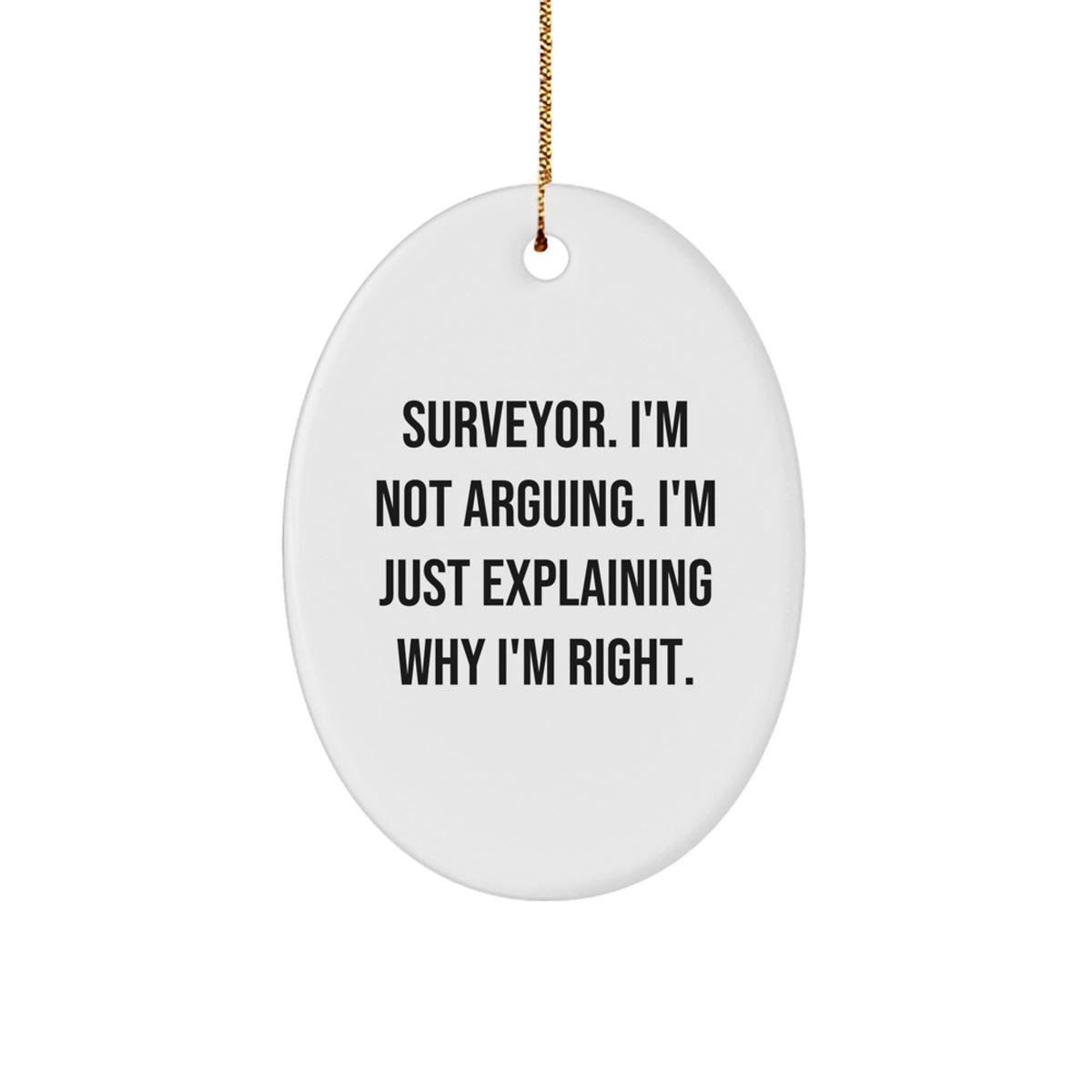 Funny Surveyor Gift Ideas for Friends, Unique Christmas Unique Gifts from Men to Surveyor - Image 1