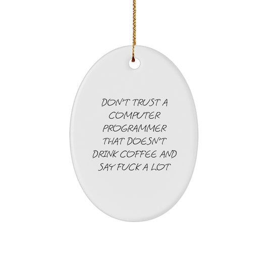 Funny Computer Programmer Gifts for Men, Oval Ornament with Don't Trust a Programmer Quote, Christmas Unique Decorations for Home Office - Image 1