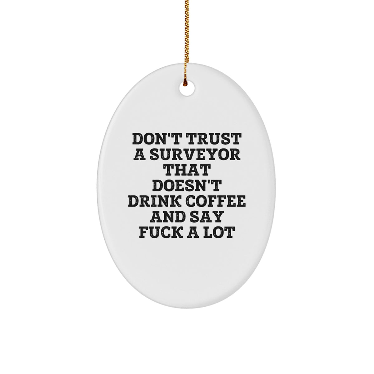 Favorite Bright Surveyor Holiday Christmas Ornament for Kids Gift - Image 1