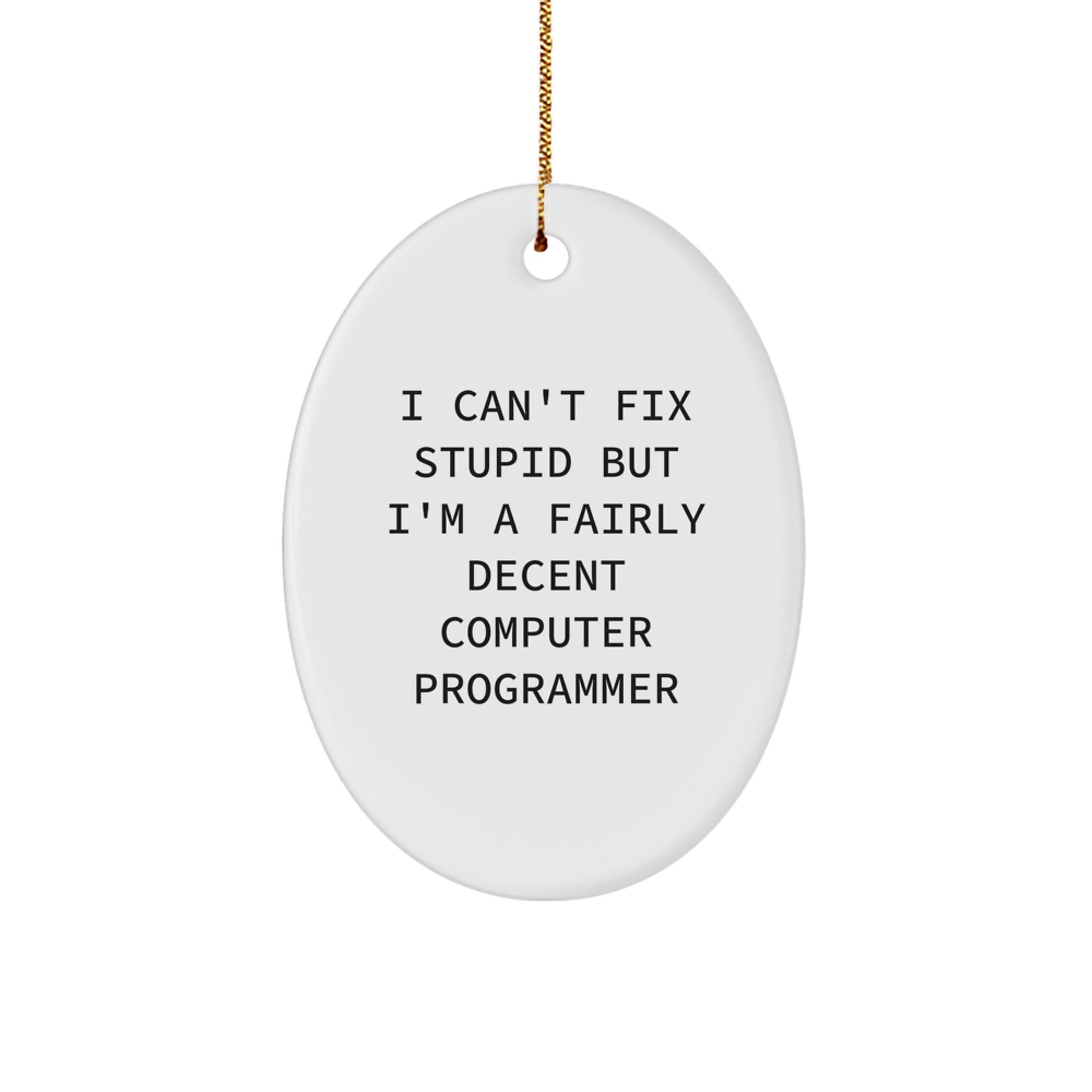 Funny Computer Programmer Oval Ornament Gifts from Friends for Coworkers - I'm A Decent Computer Pro - Image 1