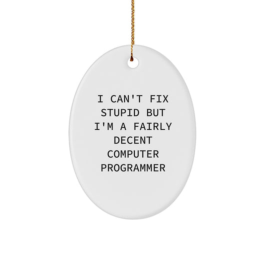 Funny Computer Programmer Oval Ornament Gifts from Friends for Coworkers - I'm A Decent Computer Pro - Image 1