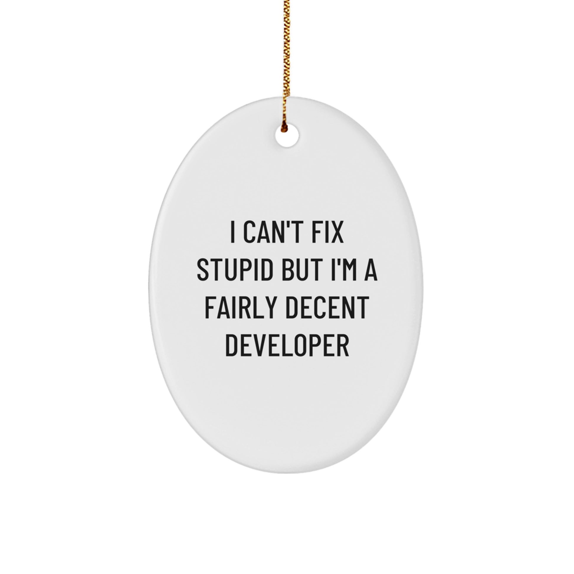 Funny Developer Gifts Oval Ornament I Can't Fix Stupid But I'm A Fairly Decent Developer, Unique Christmas Unique Gifts for Developer Friends, Oval Shaped Developer Gift - Image 1