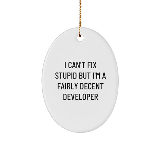 Funny Developer Gifts Oval Ornament I Can't Fix Stupid But I'm A Fairly Decent Developer, Unique Christmas Unique Gifts for Developer Friends, Oval Shaped Developer Gift - Image 1