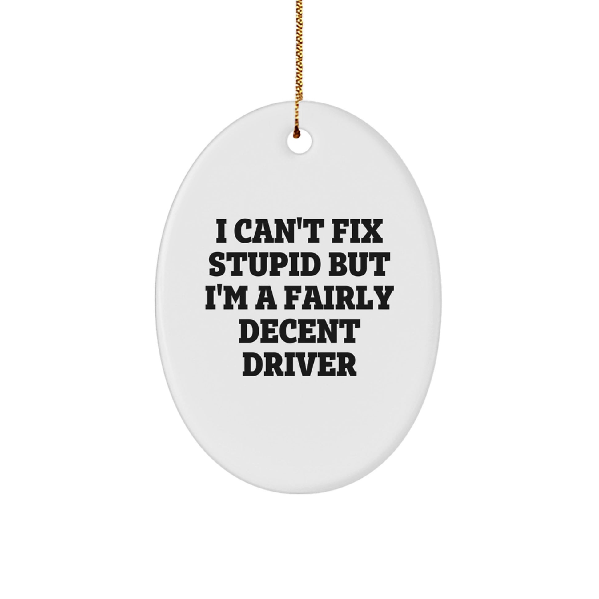 Funny Driver Oval Ornament Gifts for Men, I Can't Fix Stupid But I'm A Fairly Decent Driver, Christmas Unique Gifts from Friends, Family to Driver - Image 1