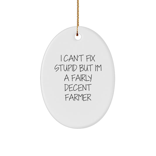 Funny Farmer Decor, Gifts from Family, Friends to Men, Women, 'I'm a Decent Farmer', Oval Ornament, Christmas Unique Gifts - Image 1