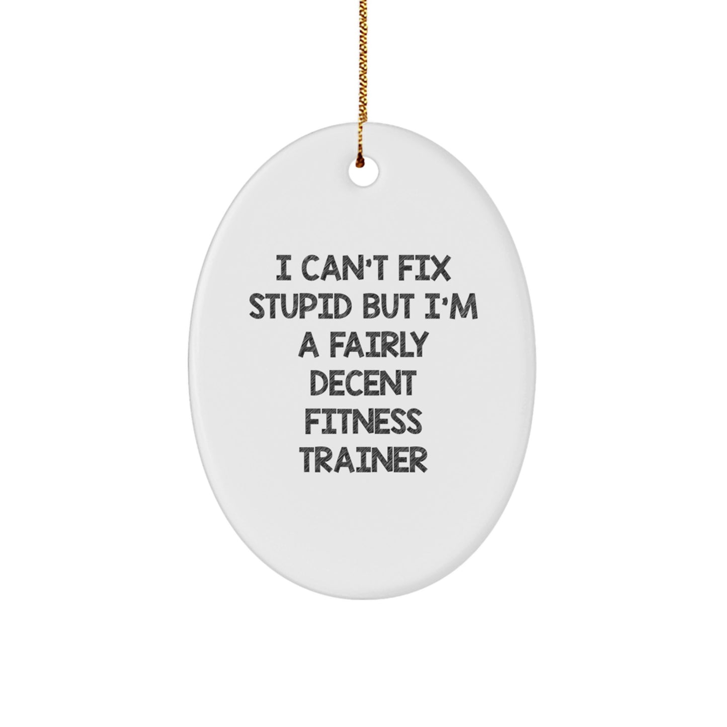 Funny Fitness Trainer Gifts from Friends, Oval Ornament with Inspirational Quote I Can't Fix Stupid, Christmas Unique Presents for Men and Women - Image 1