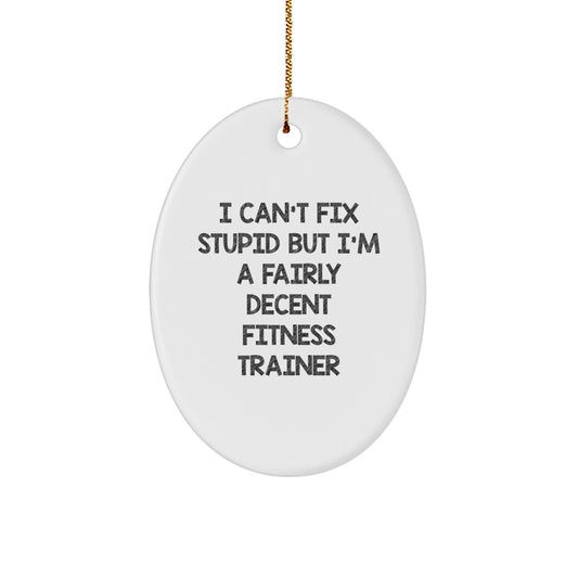 Funny Fitness Trainer Gifts from Friends, Oval Ornament with Inspirational Quote I Can't Fix Stupid, Christmas Unique Presents for Men and Women - Image 1