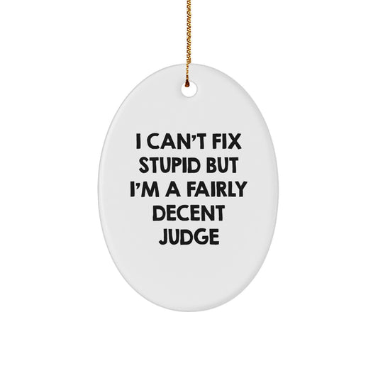 Judge Oval Christmas Ornament for Him Keepsake I Can't Fix Stupid Gift - Image 1