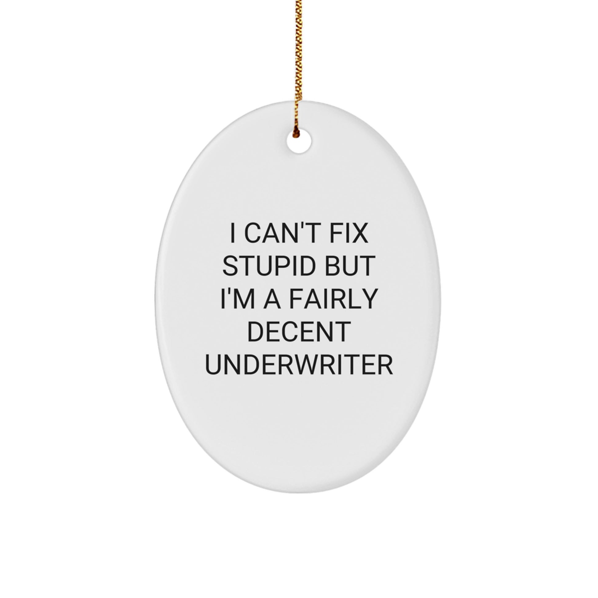 Funny Underwriter Oval Ornament Gifts from Men to Coworkers for Christmas Unique Underwriter Gifts - Image 1