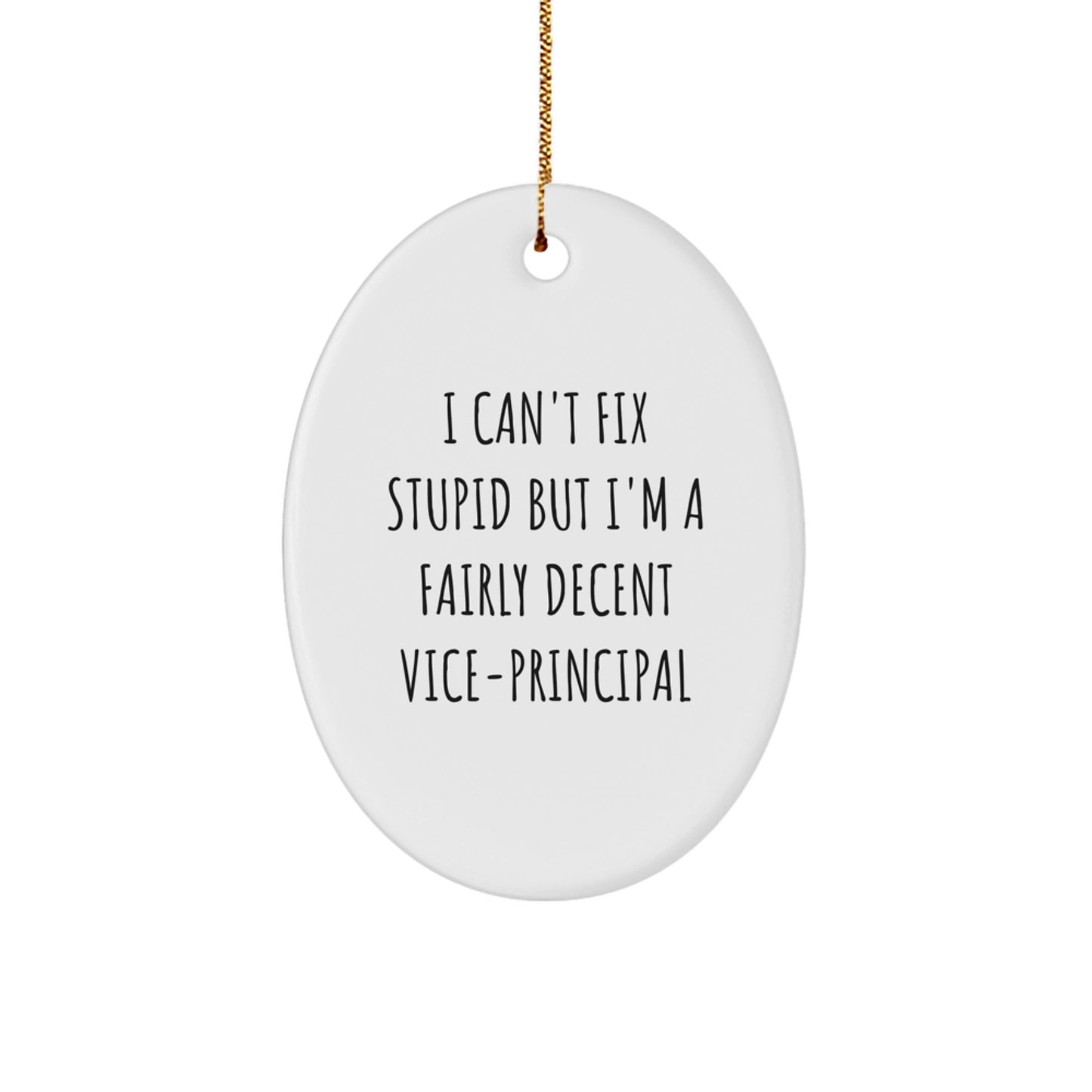 Vice-principal Gifts from Friends, Funny Oval Ornament for Vice-principal, I Can't Fix Stupid But I'm A Fairly Decent Vice-principal Christmas Unique Gifts - Image 1