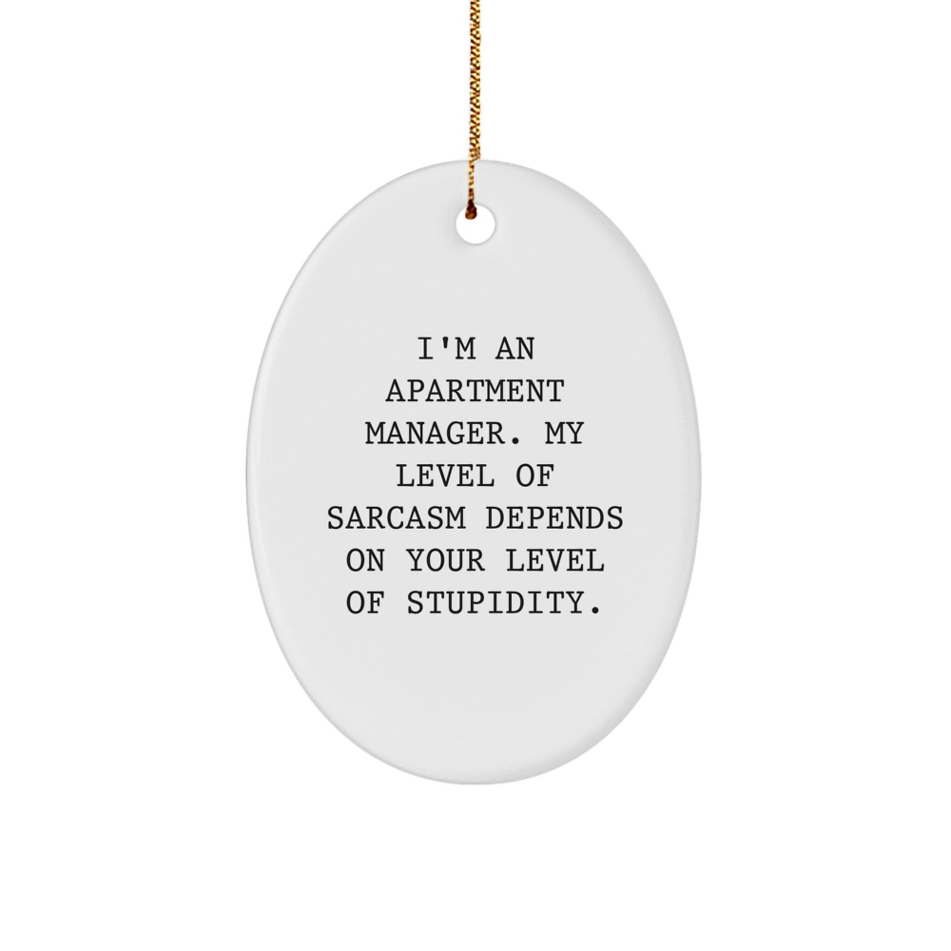 Funny Sarcasm Gifts from Apartment Manager Friends for Christmas - Image 1