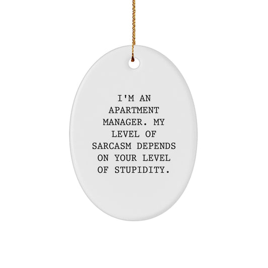 Funny Sarcasm Gifts from Apartment Manager Friends for Christmas - Image 1