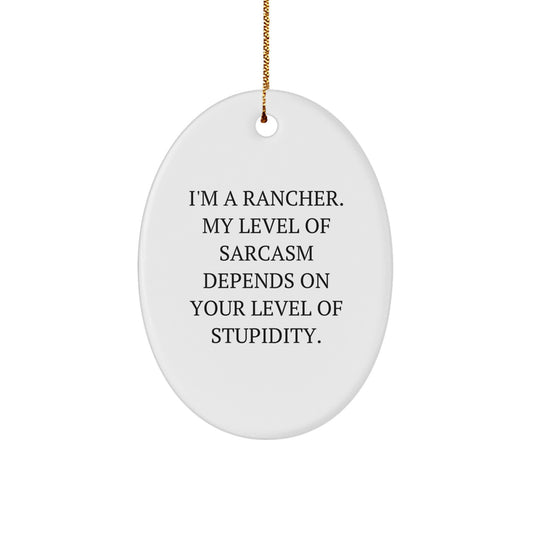 Funny Rancher Oval Ornament Gifts from Friends for Christmas Decoration Home Decor - Image 1