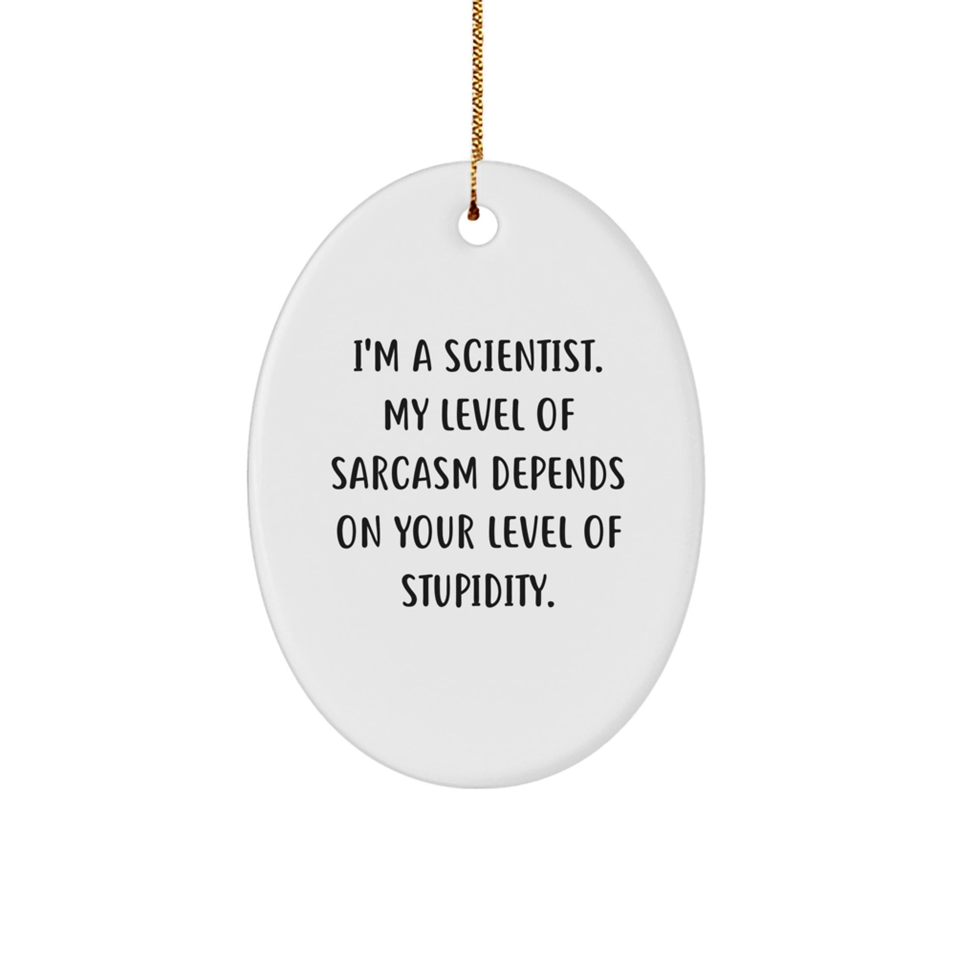 Funny Scientist Oval Ornament Gifts from Family - I'm A Scientist, My Level Of Sarcasm Depends On Your Level Of Stupidity, Christmas Unique Gifts for Scientist - Image 1