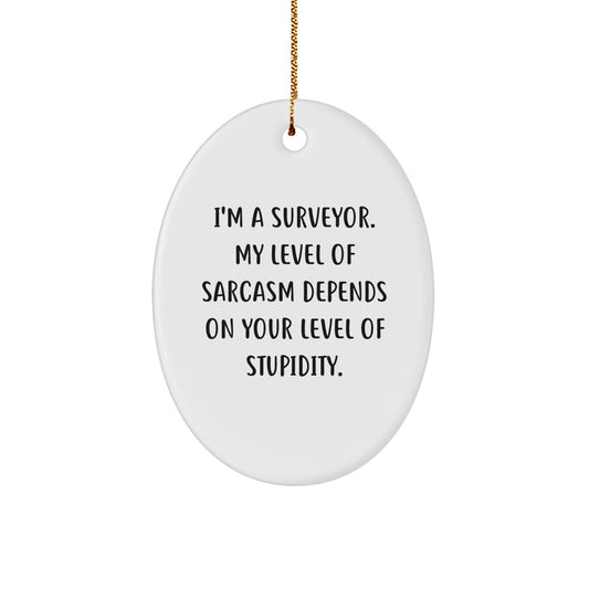 Funny Surveyor Gifts Oval Ornament, I'm A Surveyor, Gifts from Friends and Family for Surveyor, Christmas Unique Gifts, Oval Ornament Surveyor - Image 1