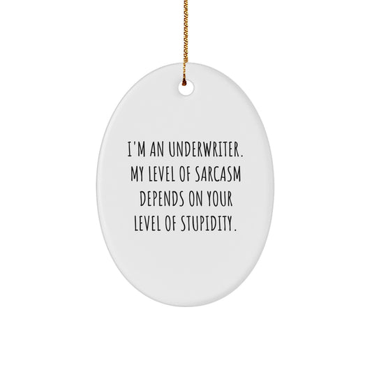 Funny Underwriter Oval Ornament, Gifts from Men to Friends, Christmas Unique Gifts for Underwriter, Oval Shaped MDF Ornament with Sarcasm Quote - Image 1
