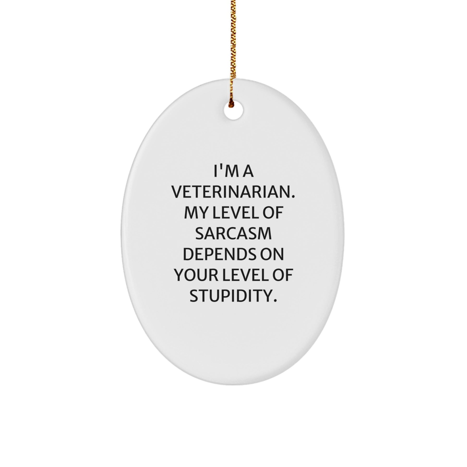 Funny Veterinarian Christmas Unique Gifts for Men, Oval Ornament, I'm a Veterinarian Gifts from Friends, Unique Christmas Decorations - Image 1