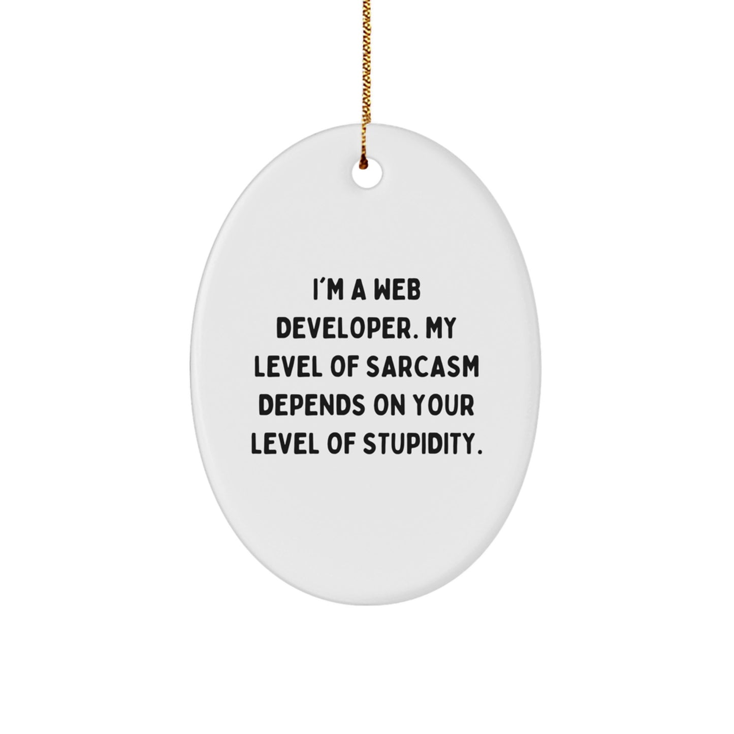 Funny Web Developer Gifts from Friends - Oval Ornament with Sarcasm Quote for Christmas Unique Gifts - Image 1