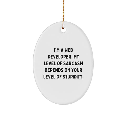 Funny Web Developer Gifts from Friends - Oval Ornament with Sarcasm Quote for Christmas Unique Gifts - Image 1