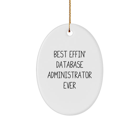 Funny Database Administrator Gifts for Christmas, Oval Ornament, 'Best Effin' Database Administrator Ever' Quote, Gifts from Friends, Family, or Coworkers for Men, Women, or Database Administrators - Image 1