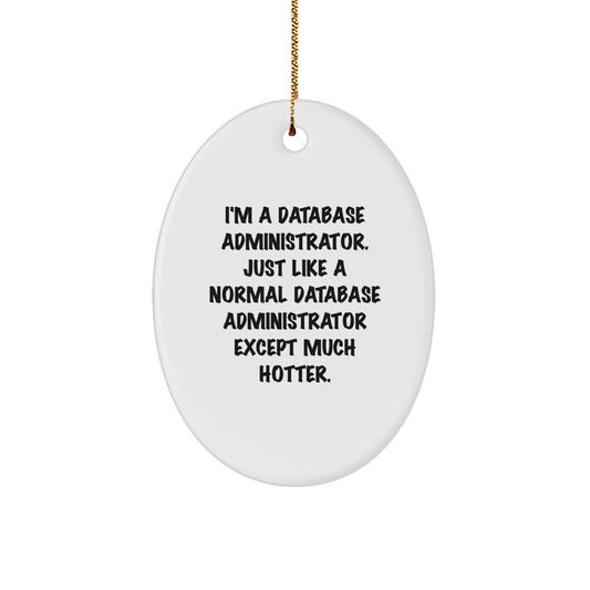 Funny Database Administrator Gifts for Coworkers - I'm Hotter Gifts from Family, Oval Ornament, Christmas Unique Gifts for Database Administrator, Office Humor - Image 1