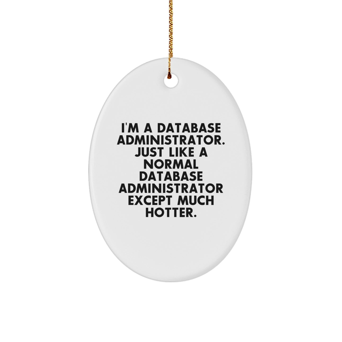 Funny Database Administrator Oval Ornament Gifts from Friends and Family for Christmas Unique Decorations - Image 1
